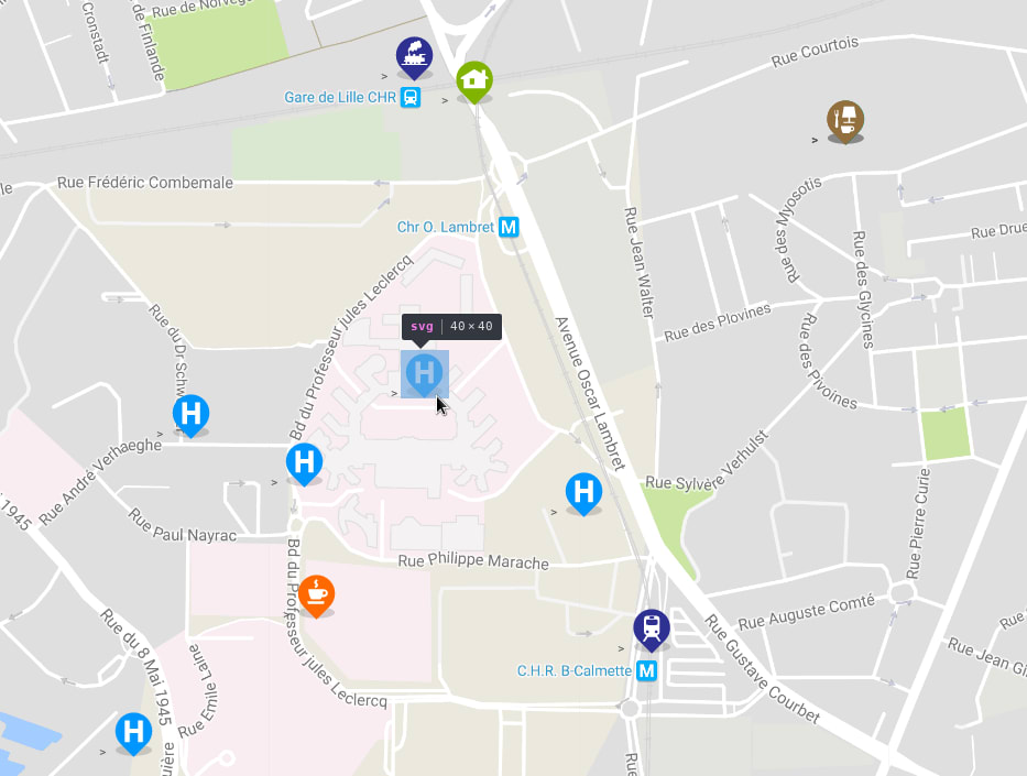 custom markers on vue google map