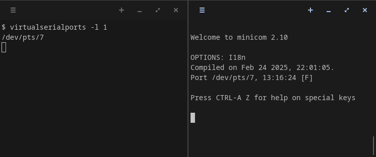 Demo showing characters being entered into a terminal emulator being echoed back