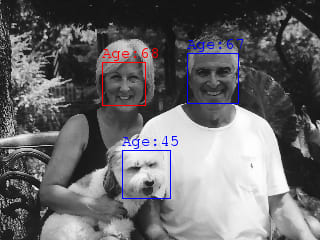 Face detection