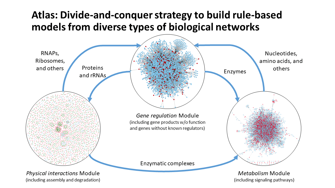 Graphical abstract