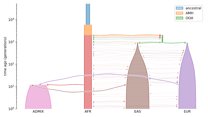 stdpopsim/AmericanAdmixture_4B11 tubes_custom