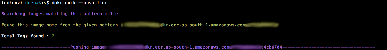 alt dokr_aws_ip