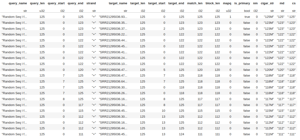 Resulting Dataframe Image