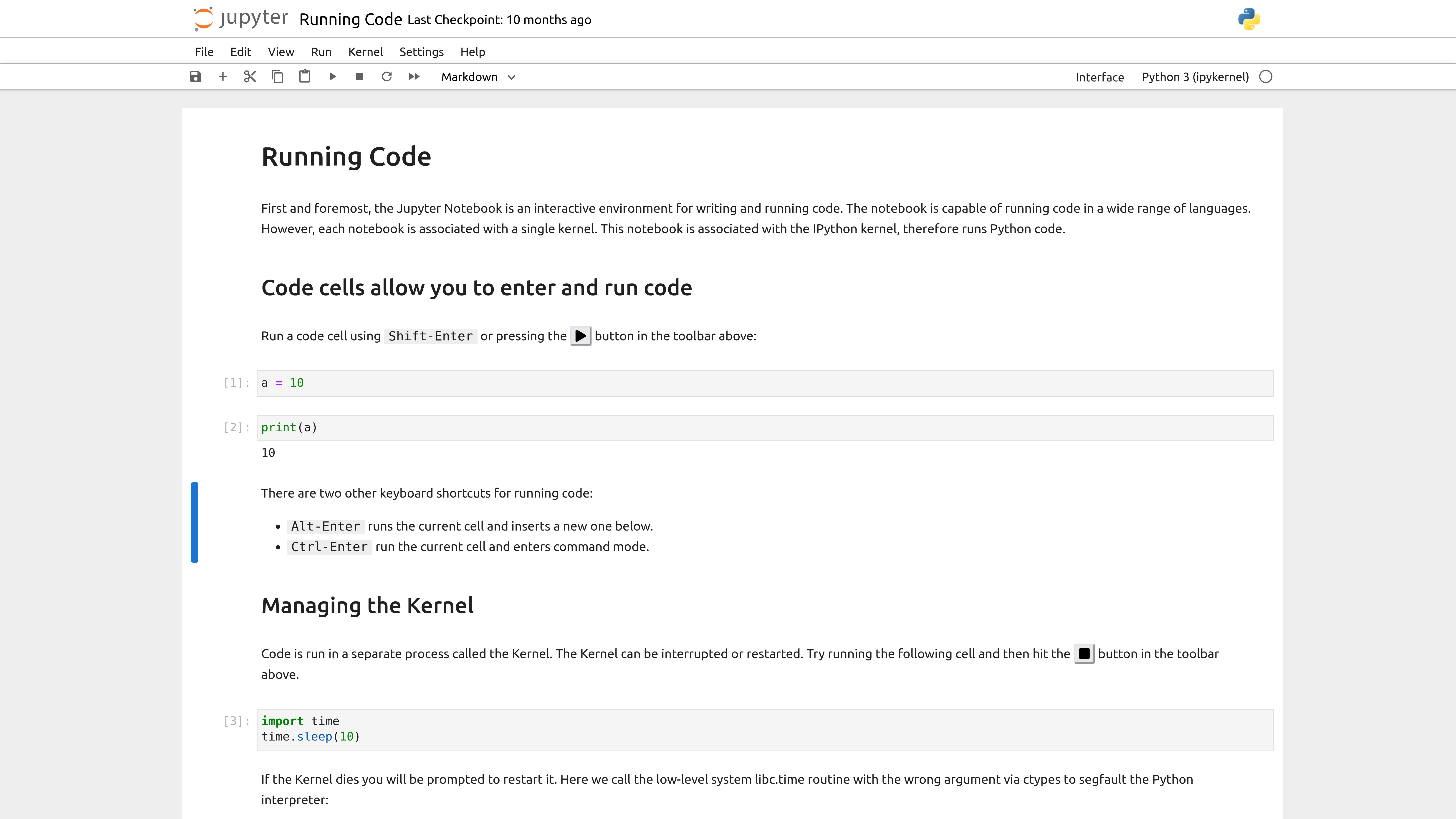 Jupyter notebook example