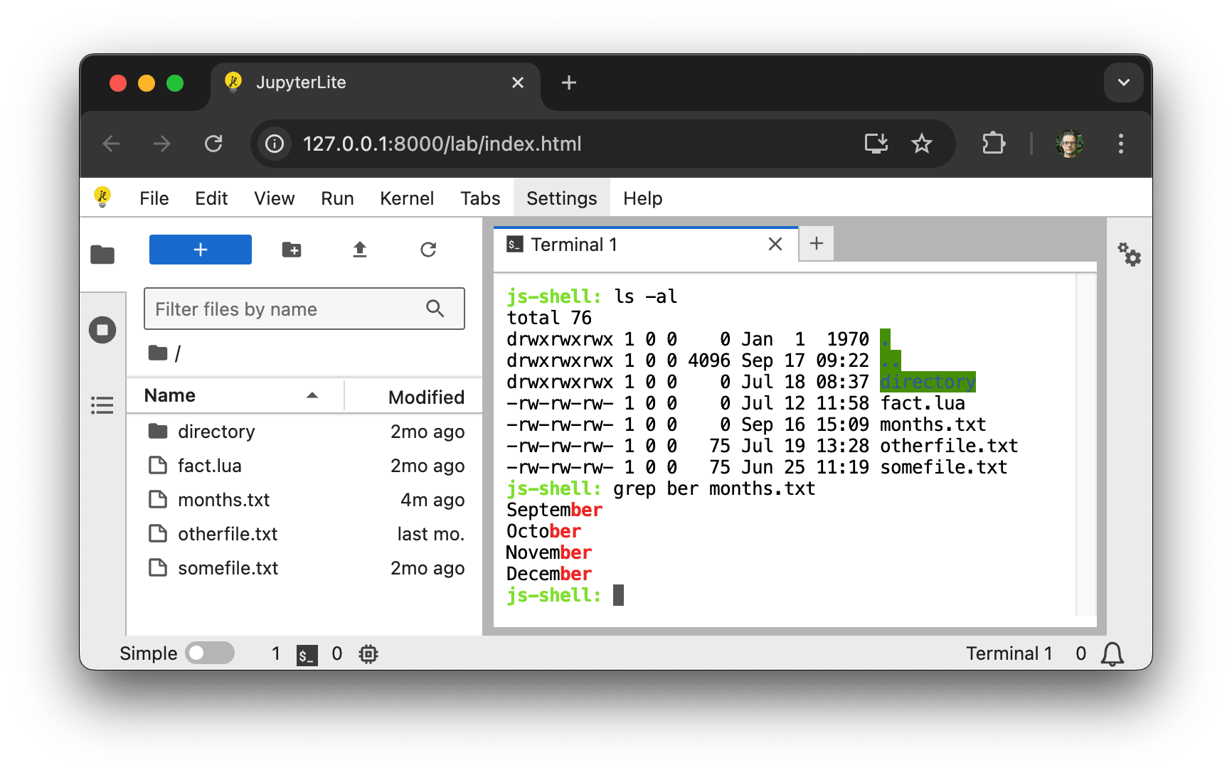 a screenshot showing a terminal running in JupyterLite