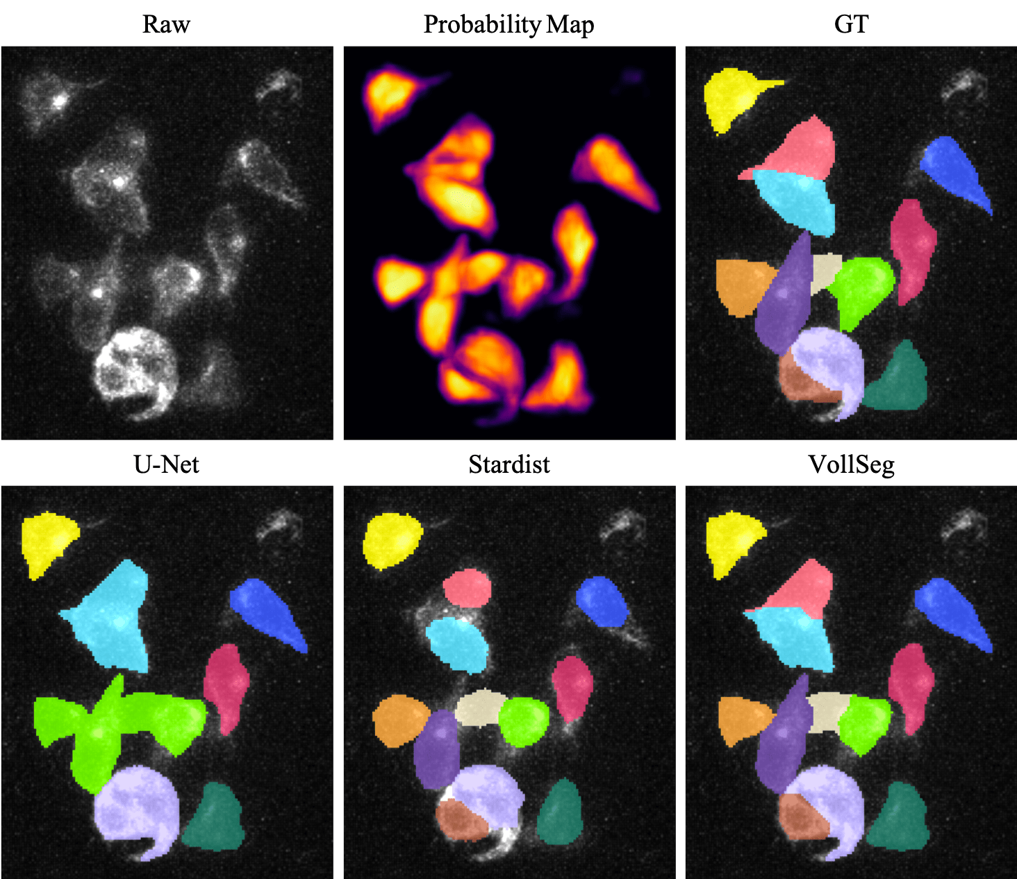 Segmentation