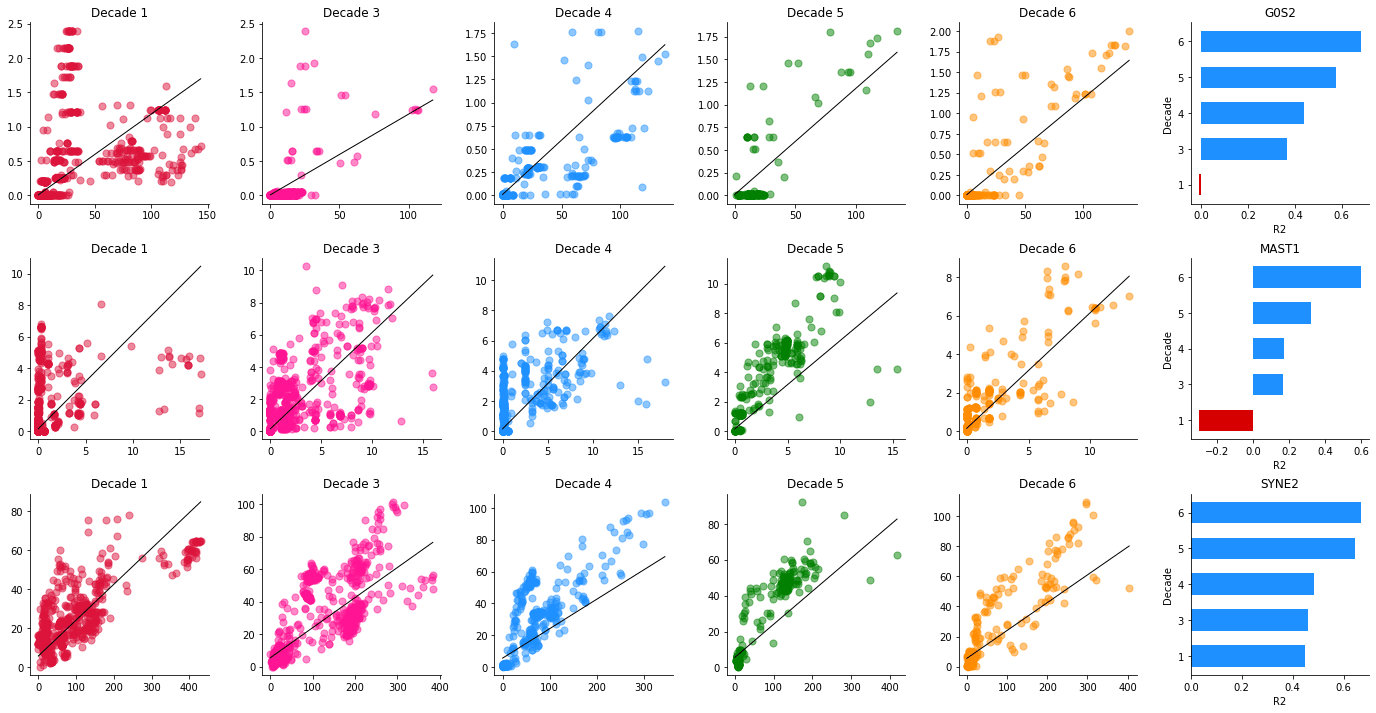 portrait of rhomeostatis genes