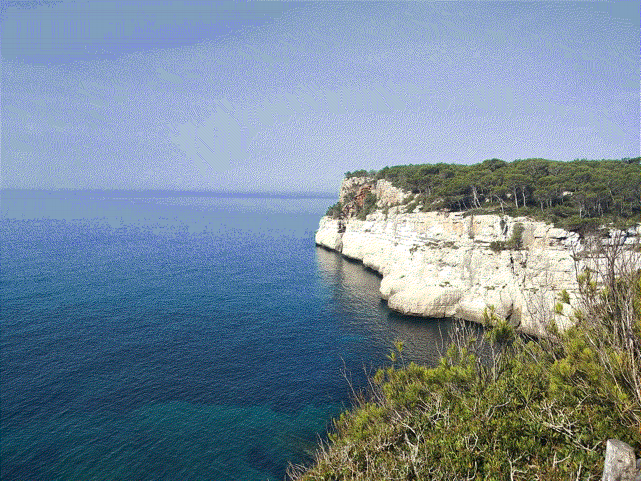 Quantized example image quantized example image