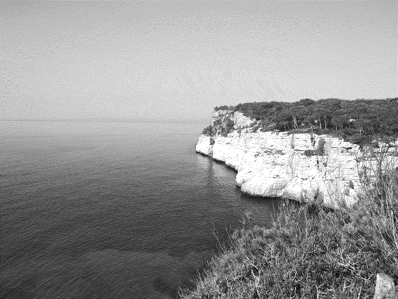 quantized example image