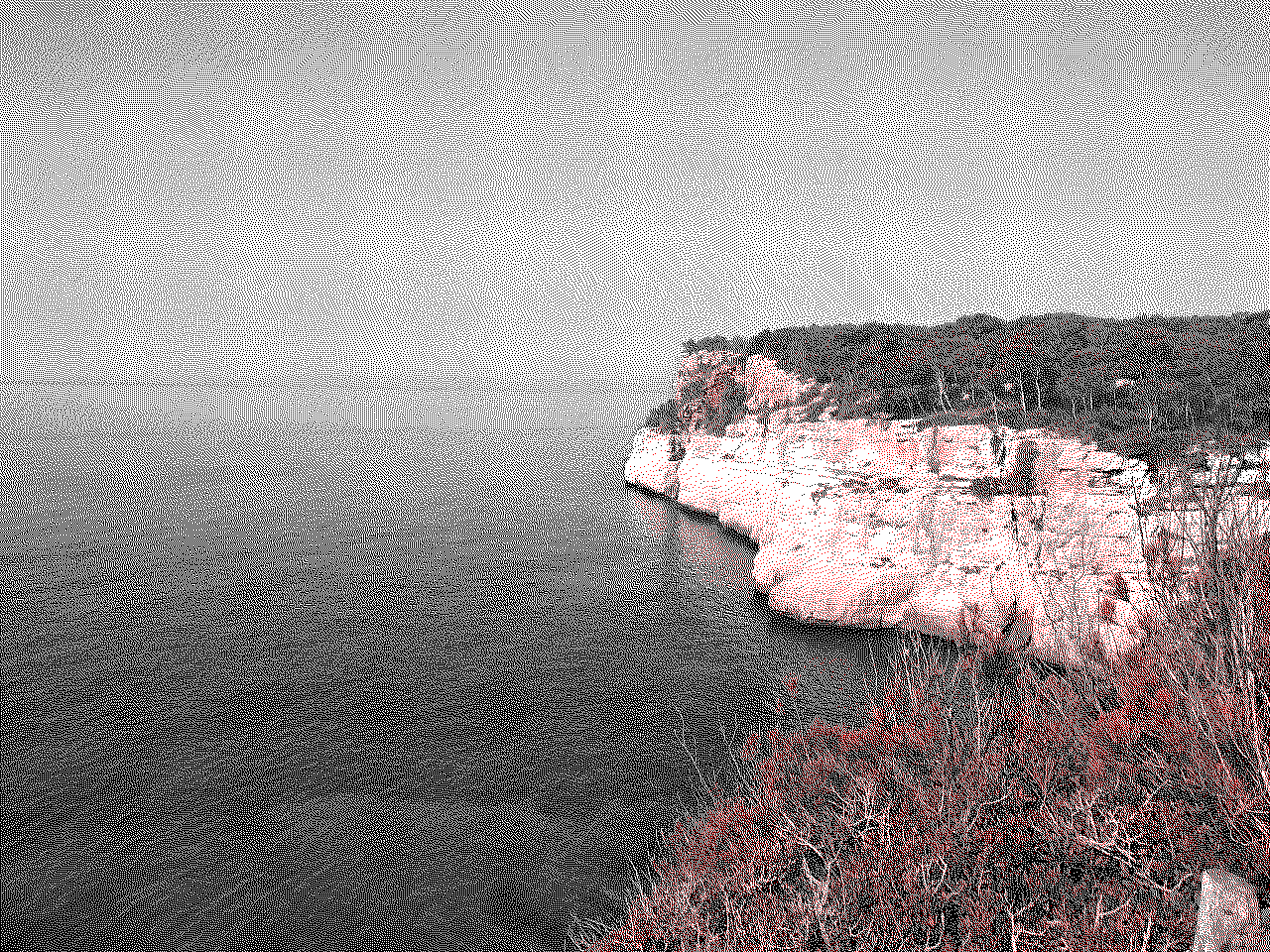 Quantized example image BWR quantized example image