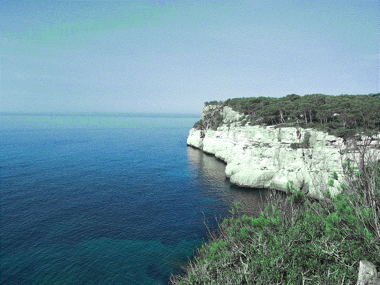 Quantized example image quantized example image