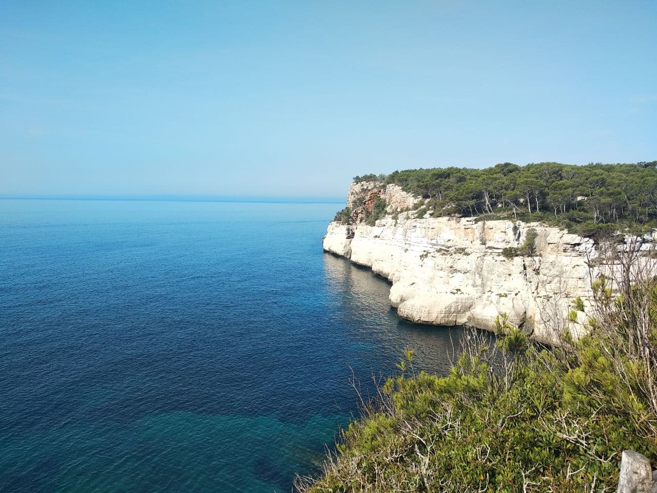 Input example image input example image