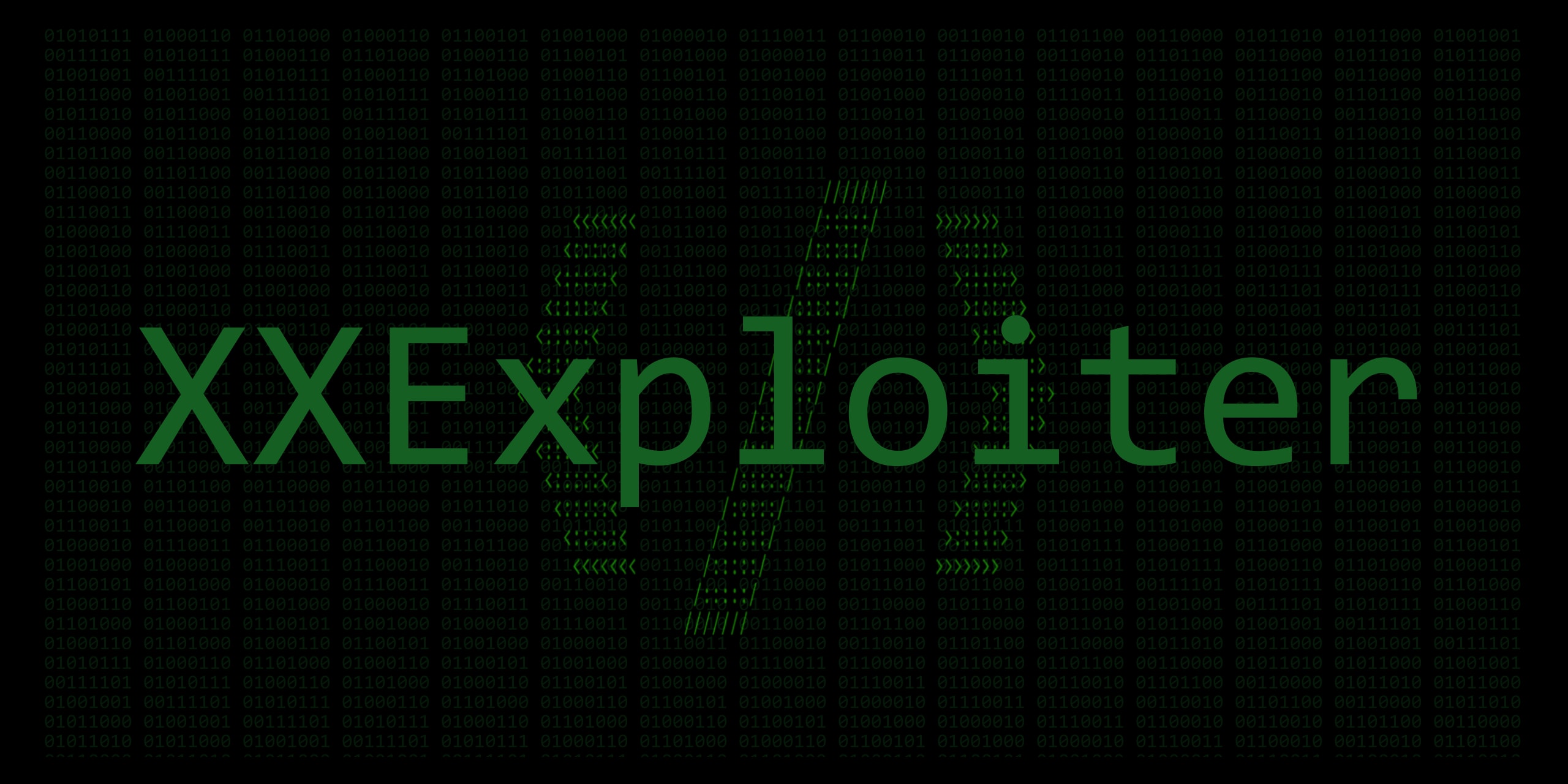 XXExploiter