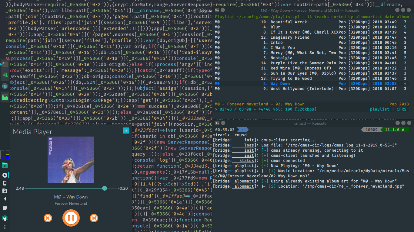 CMUS-D Basic Use