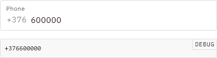 Debug form phone input