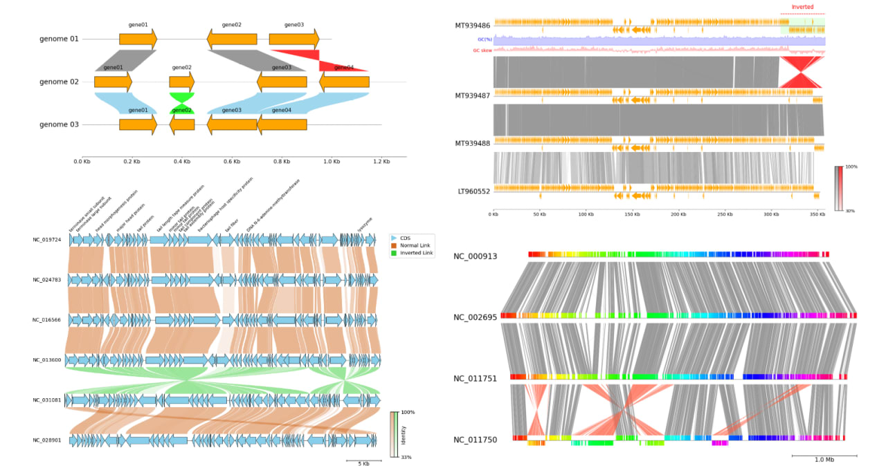 pygenomeviz_gallery.png