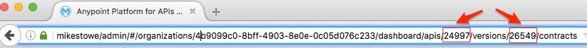 Screenshot of Anypoint API Version URL
