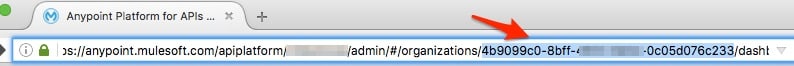 Screenshot of Anypoint API Manager URL