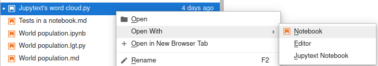 Notebook icon on text notebooks