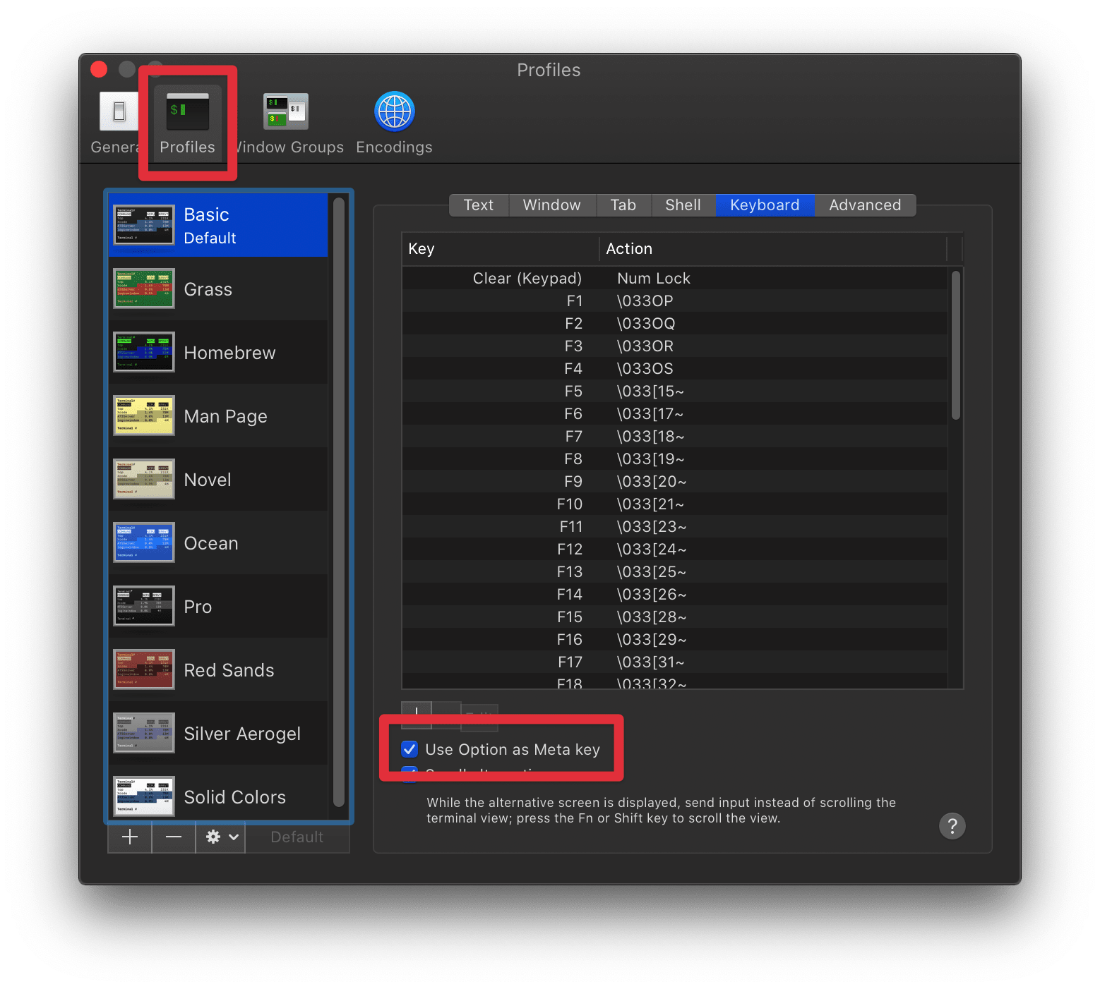 macOS Terminal app preferences window