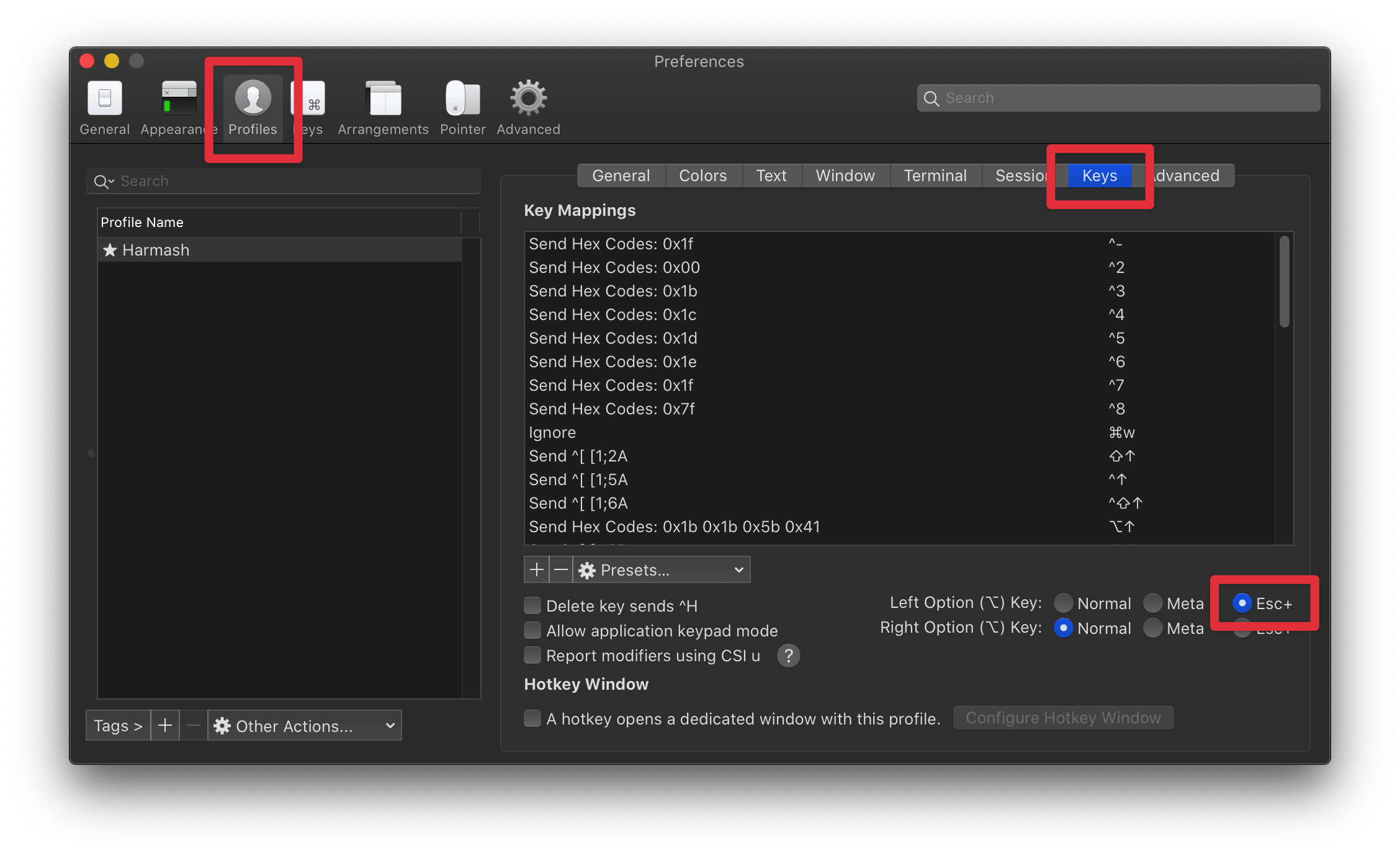 iTerm 2 app preferences window