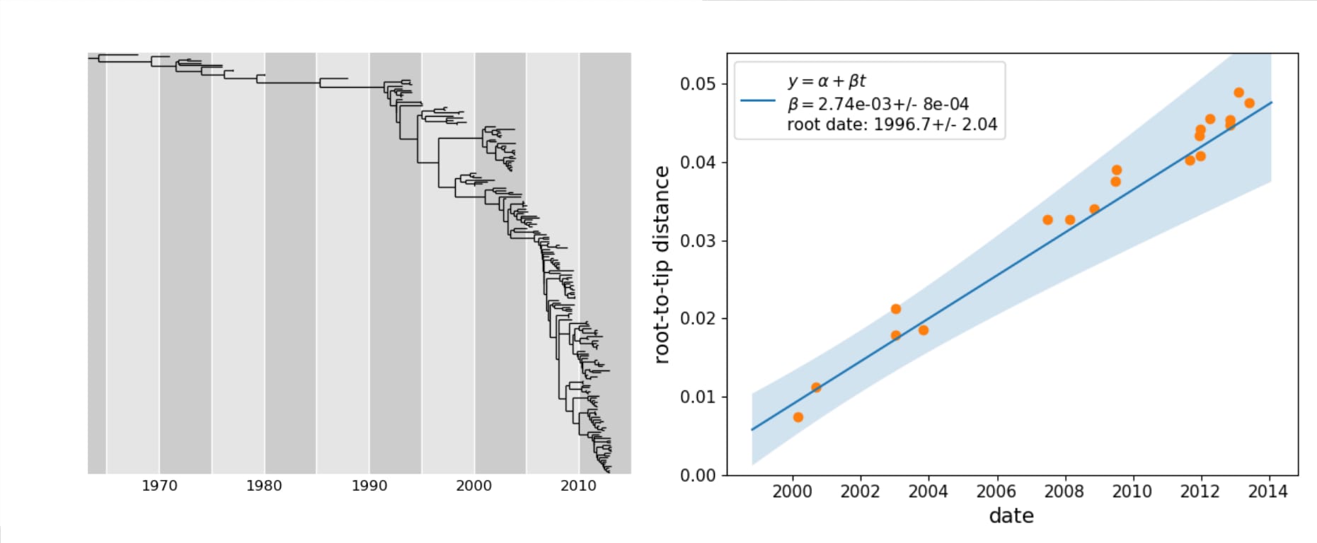 Molecular clock phylogeny of 200 NA sequences of influenza A H3N2