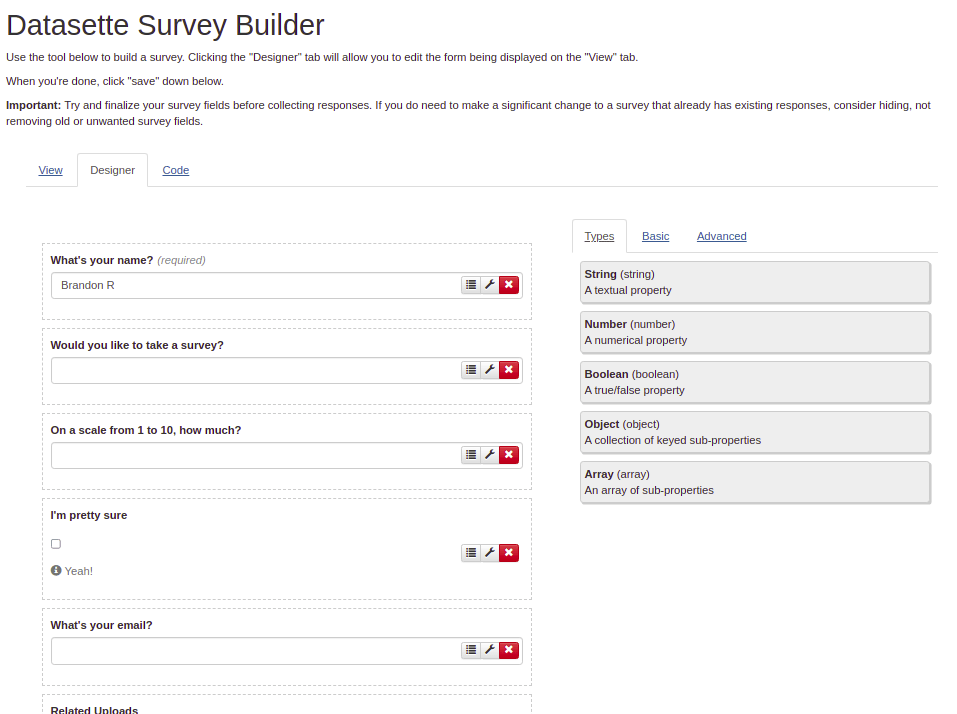 Here's what the survey form builder looks like