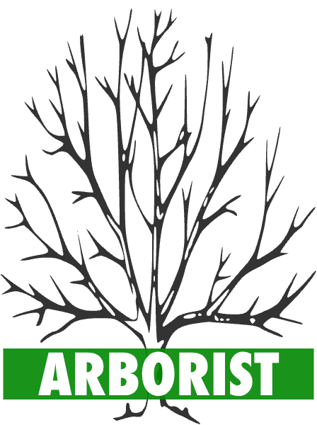 a tree with the word ARBORIST superimposed on it