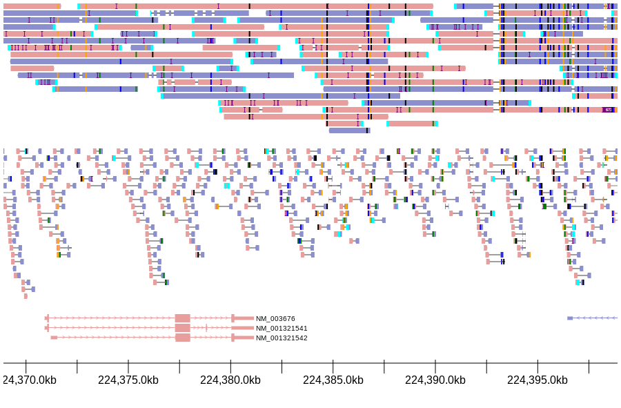 genomeview example image