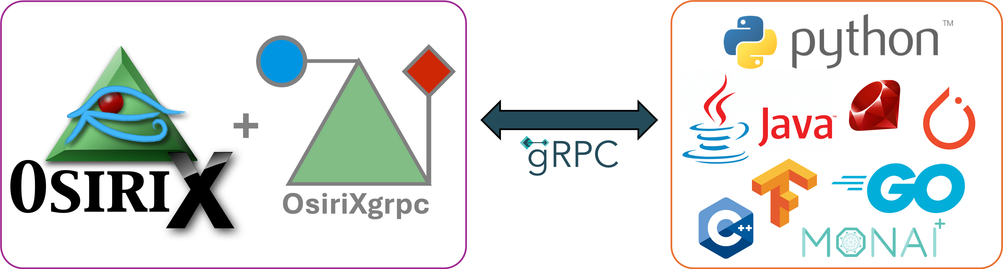 Welcome to OsiriXgrpc!