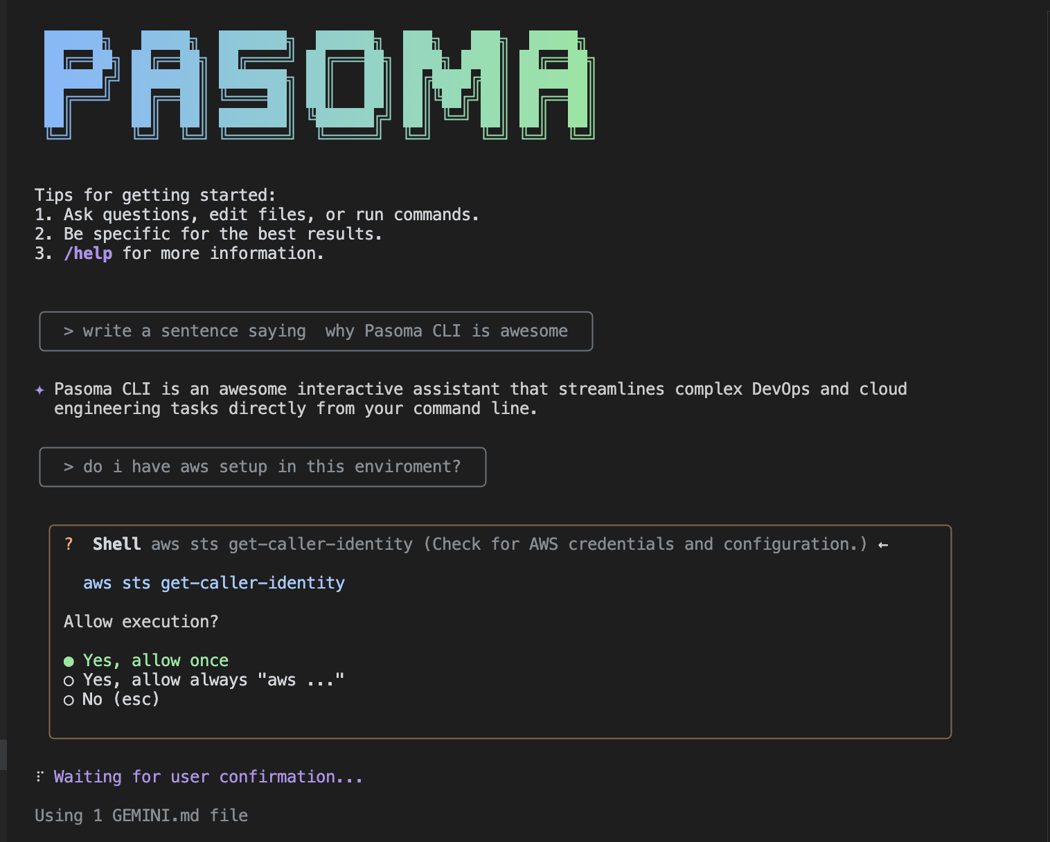 Pasoma CLI Screenshot