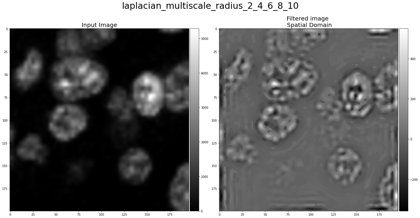 laplacian multiscale 1