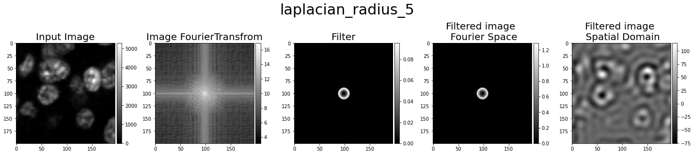 laplacian 5