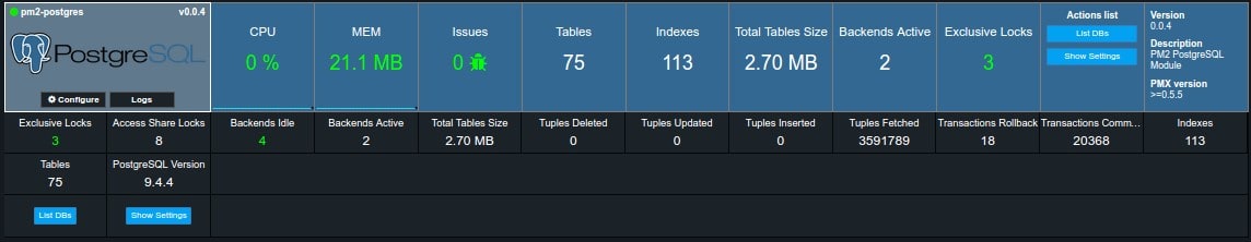 pm2-postgres screenshot