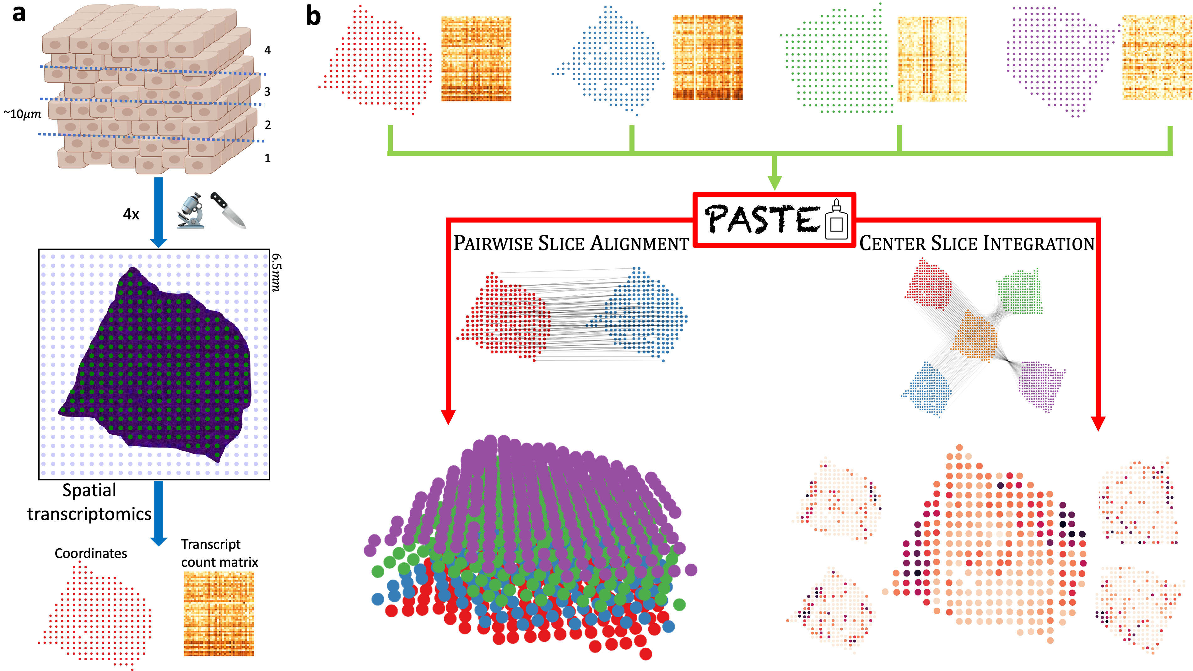 PASTE Overview