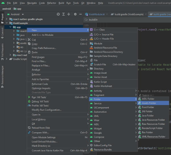 Android Studio assets folder creation