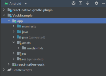 Android Studio final project structure