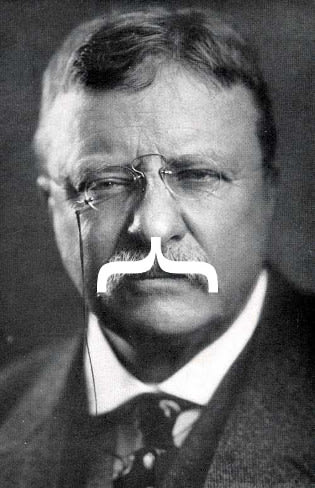 Teddy Roosevelt's facial hair is a curly brace.