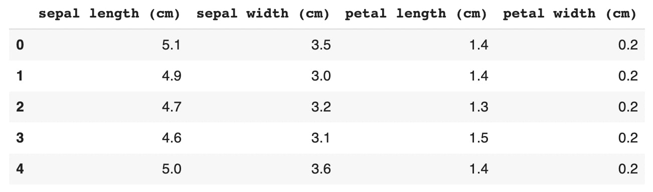Iris DataFrame
