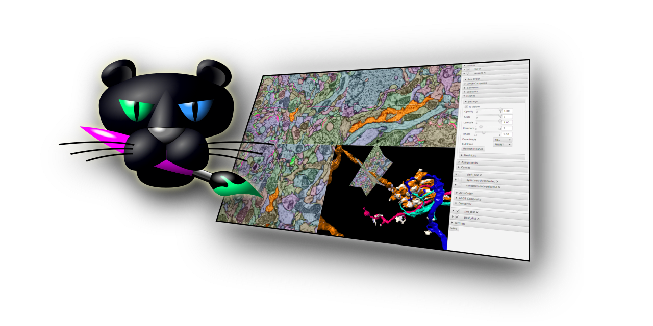 Paintera example with meshes for multiple neurons and synapses
