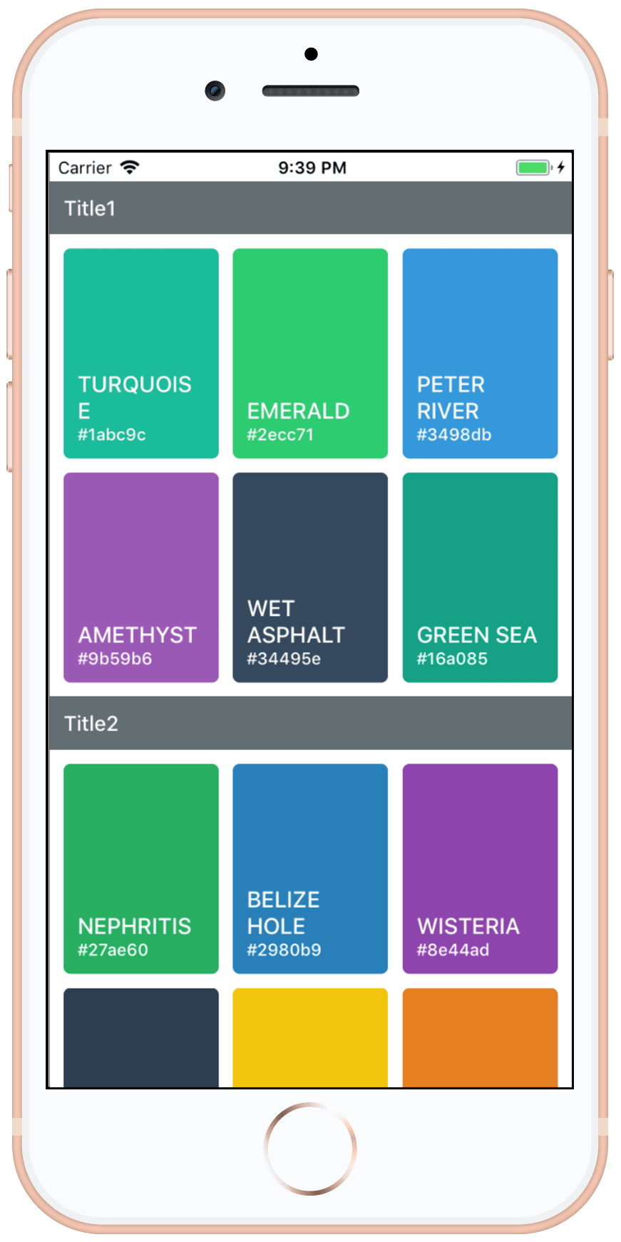 iPhone SectionGrid Portrait