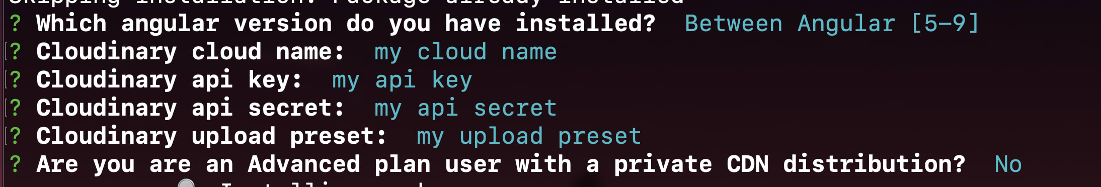 Cloudinary schematic alt text