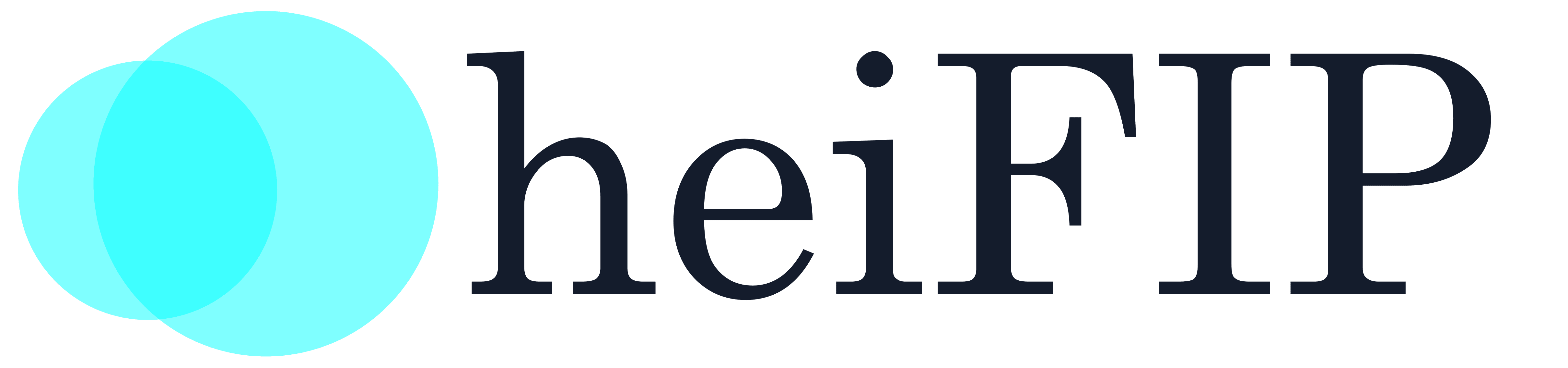 heiFIP Logo