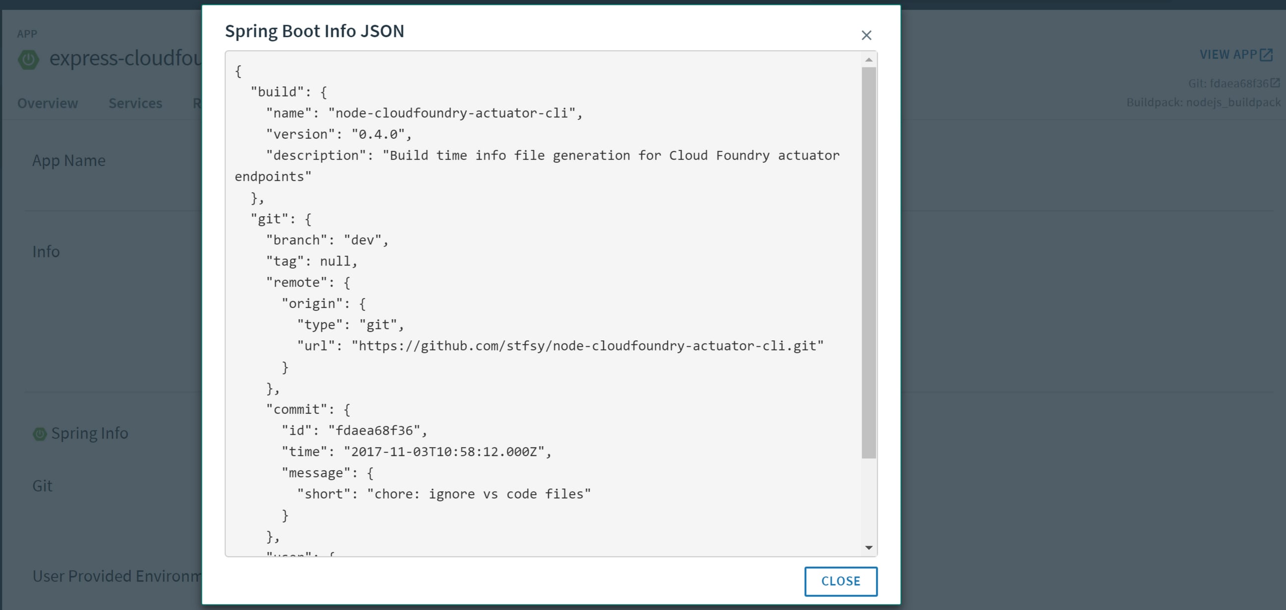 Cloud Foundry App settings with app info popup