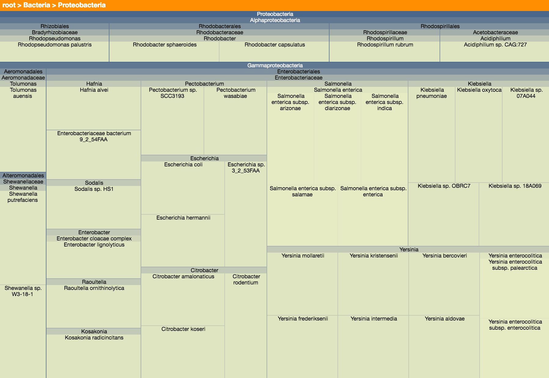 treemap example