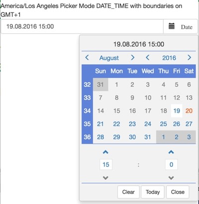 Date Time Picker