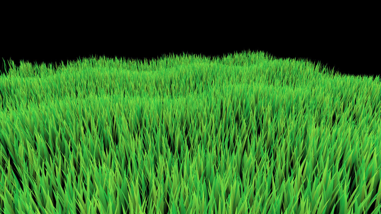 grass