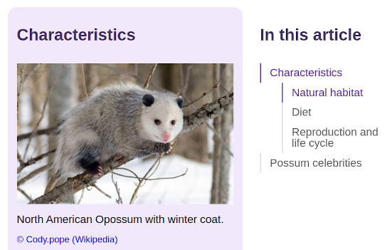 Image of a North American opossum and the toc-observer component