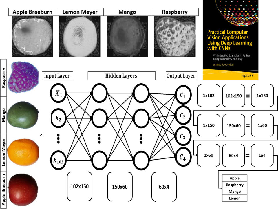 Building Neural Networks Python