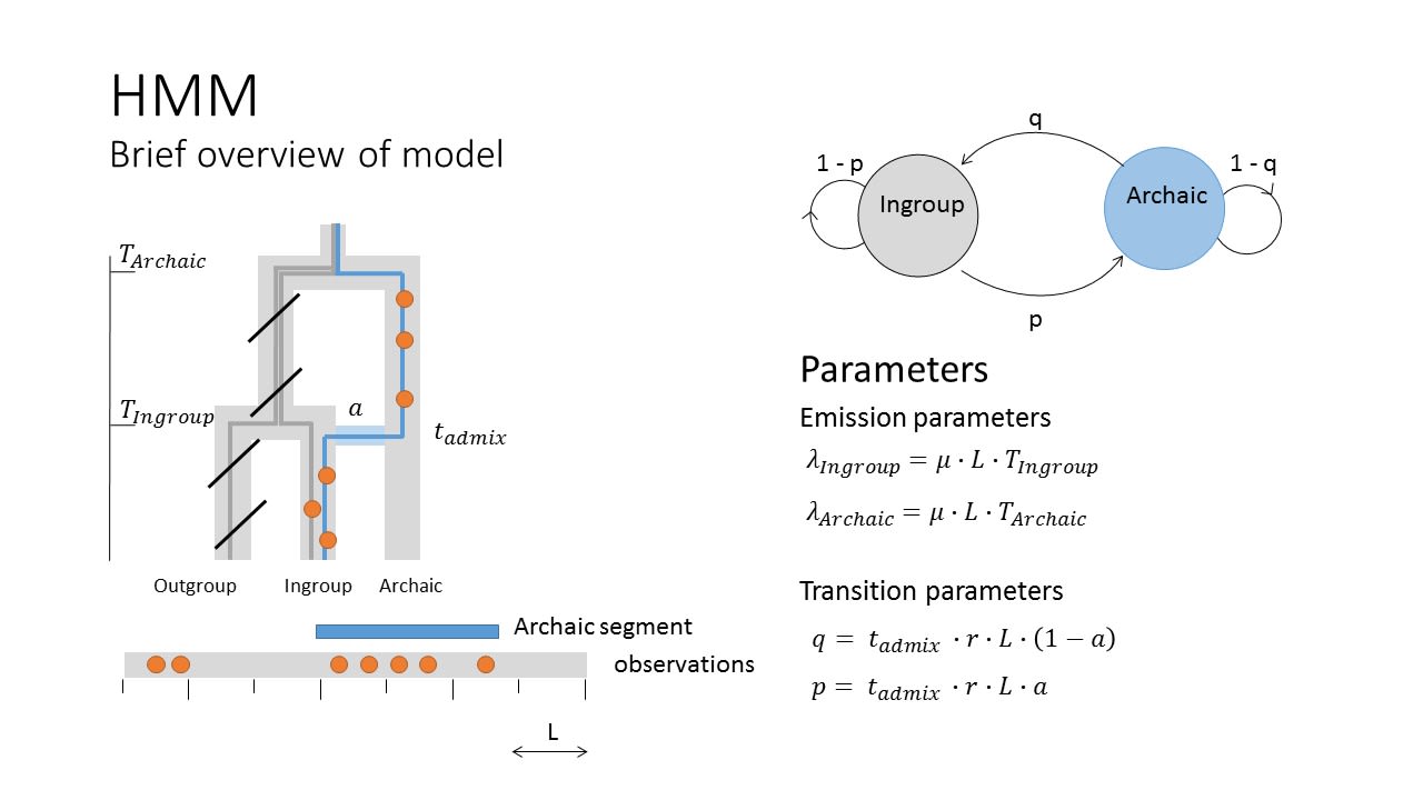 Overview of model